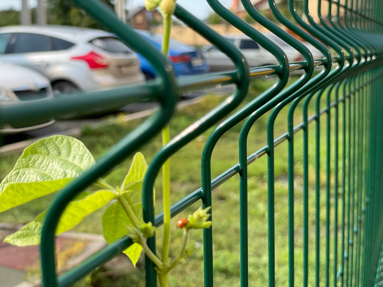 Ограждение для теннисных кортов